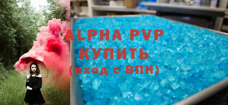 APVP СК КРИС Великий Устюг